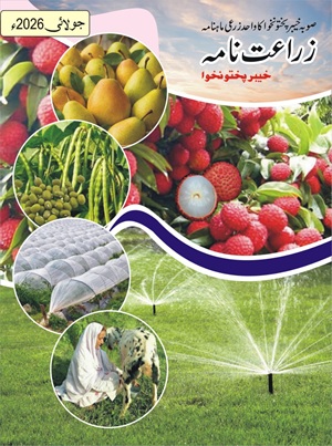 Zarat Nama July 2026